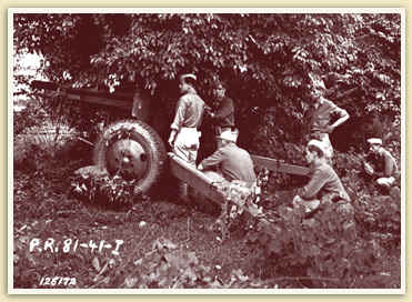 Soldiers behind a canon, which is hidden in the brush
