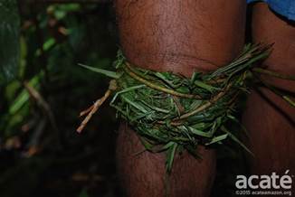 Applied traditional medicine of the Matss. Photo courtesy of Acat.