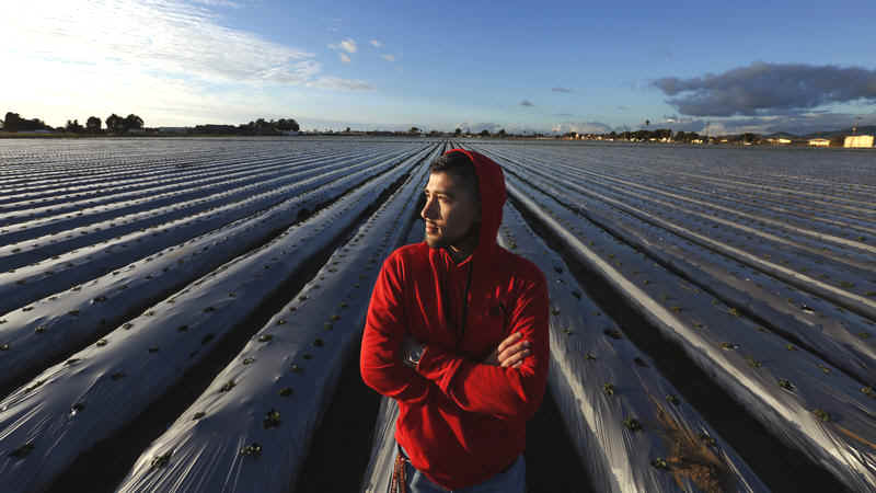 Salinas: Agricultural technology center of California
