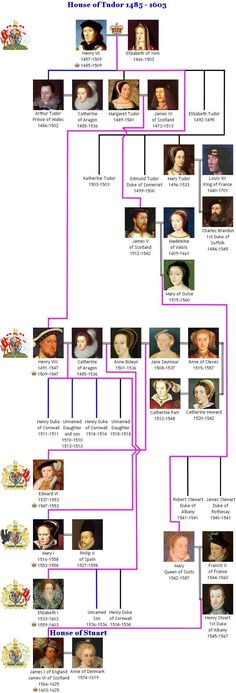 The House of Tudor, 1485 - 1603 British Royal Family Tree, Royal Family Trees, British Royal Families, Royal Family Of England, British Royal Houses, Tudor History, European History, British History, History Of England