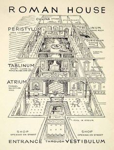 The Roman House Ancient Romans, Ancient Roman Houses, Rome History, Ancient History, Roman Era, Rome Architecture, Roman Garden, Atrium Ideas, Central Hall